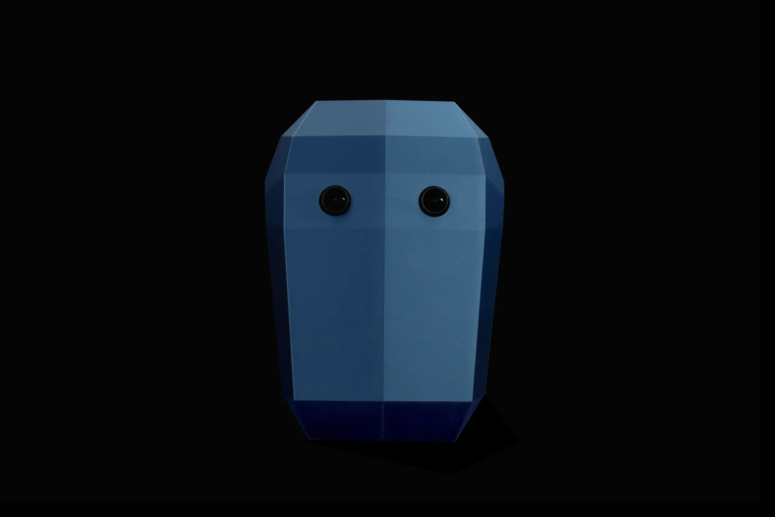 dante-1-humanoid-photo-3d-print-head-front
