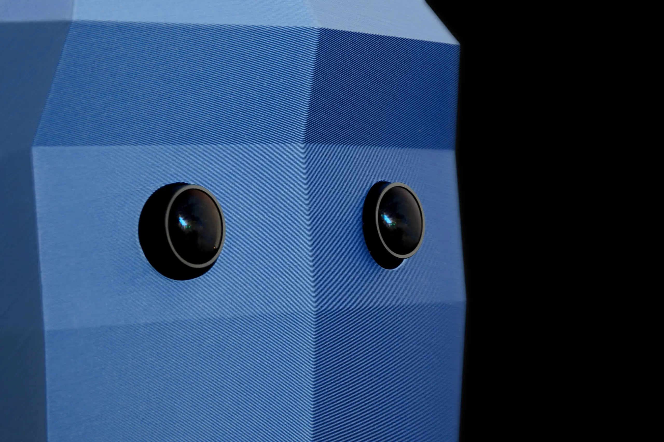 project-dante-1-humanoid-photo-3d-print-head-front-view-details-eyes2