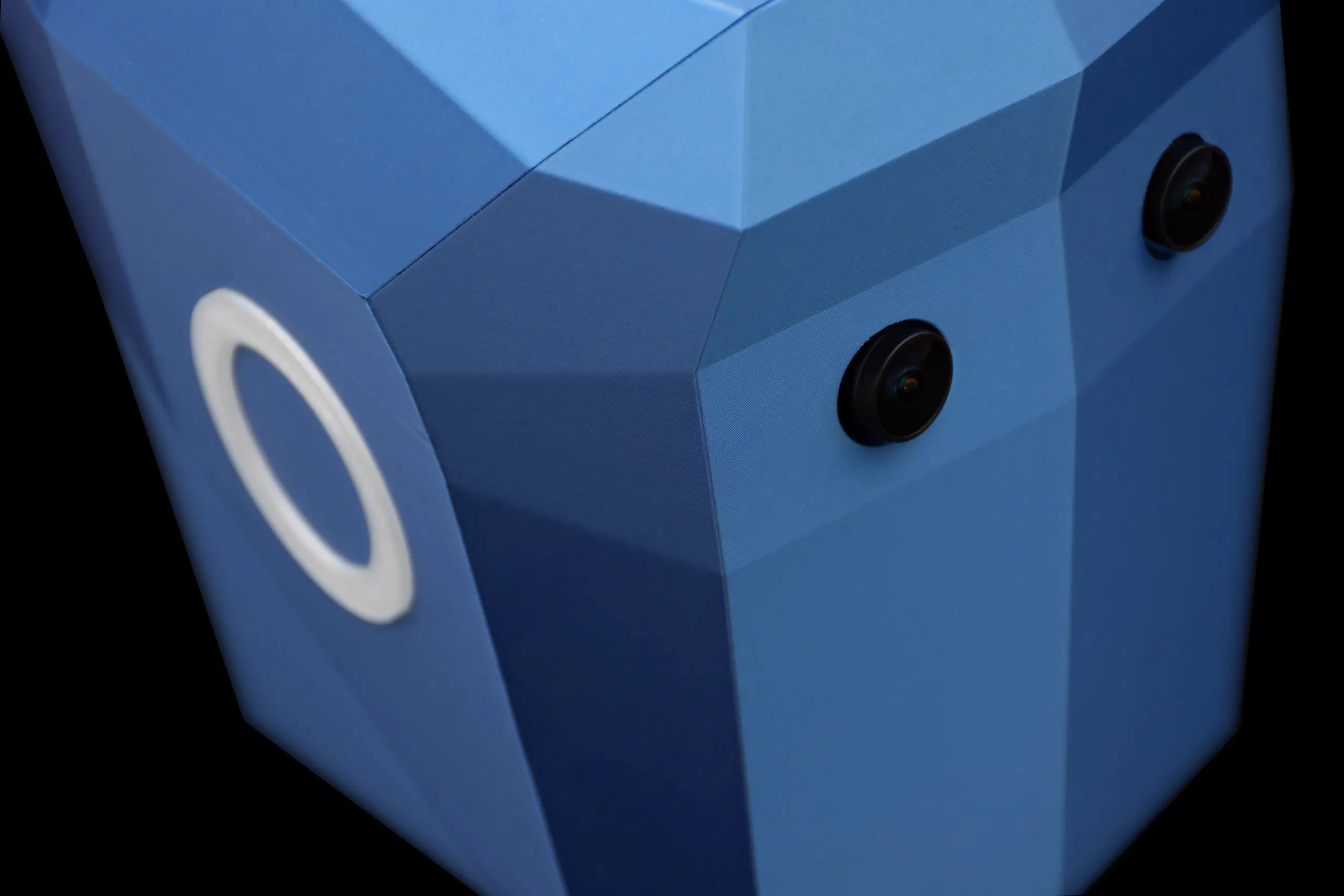 project-dante-1-humanoid-photo-3d-print-head-view-details-eyes-and-ear